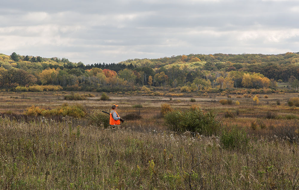 Pheasant hunter looking out over the Scuppernong wet-mesic Prairie State Natural Area.
