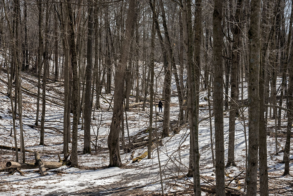 Trail winding through the glacial terrain.