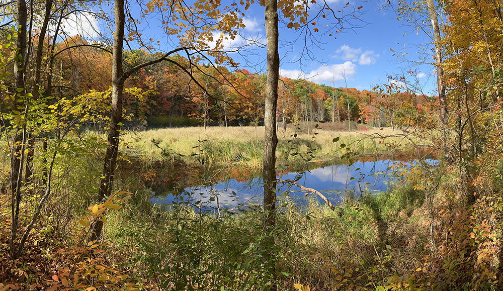 A kettle pond along the Ice Age Trail in Glacial Blue Hills Recreation Area, West Bend.