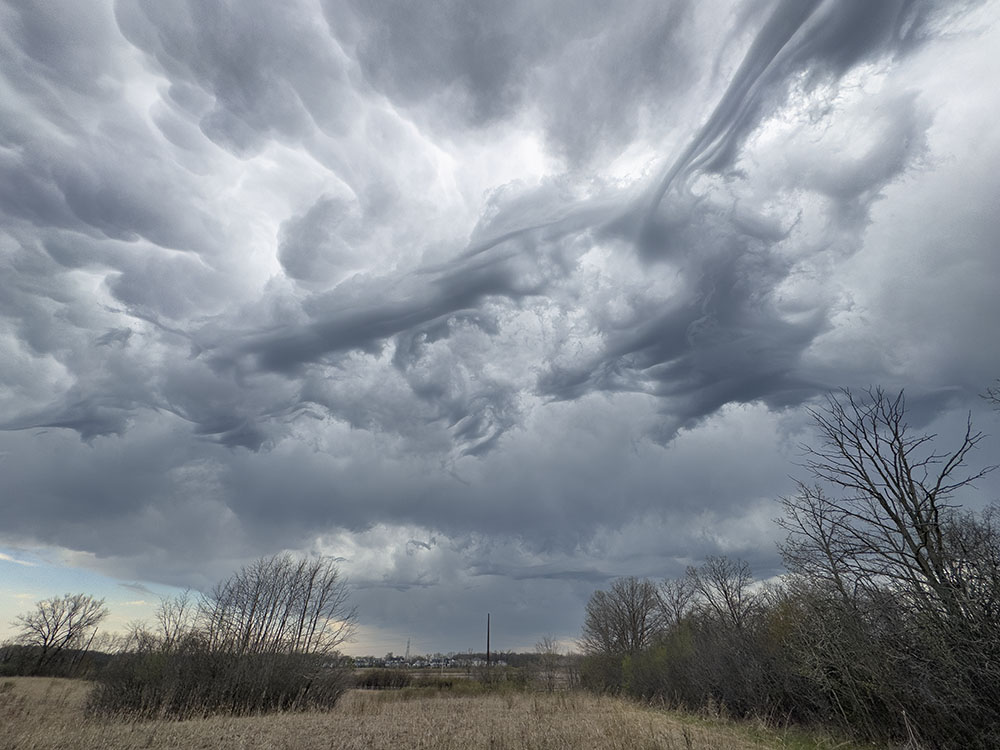 Ryan Creek Prairie Preserve, Franklin.