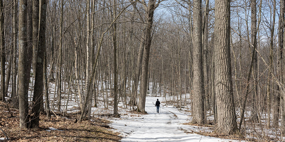 A solitary hiker on a snowy trail