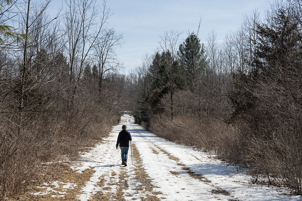 The Zillmer Trail system didn't get much cross-country skiing use this winter.
