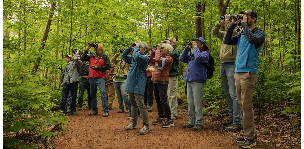 Birders with binoculars in the Forest Exploration Center