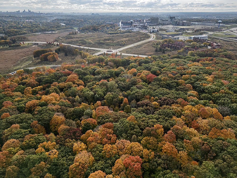 An aerial view of the Forest Exploration Center, foreground. Visible in the background are County Grounds Park, the Milwaukee Regional Medical Complex, and downtown Milwaukee.