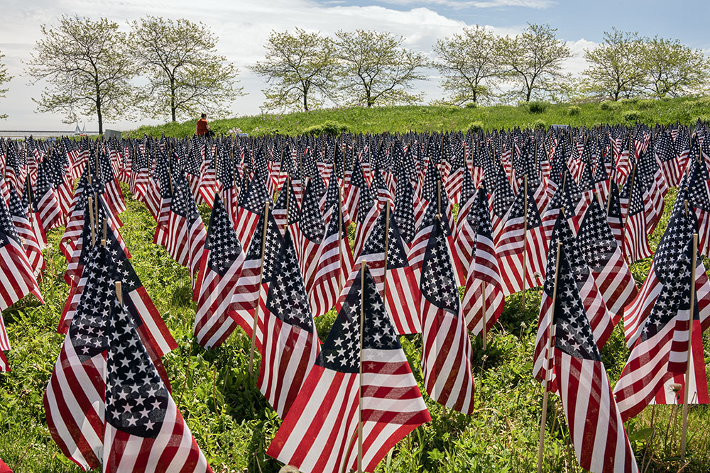 Close up of a portion of the Field of Flags