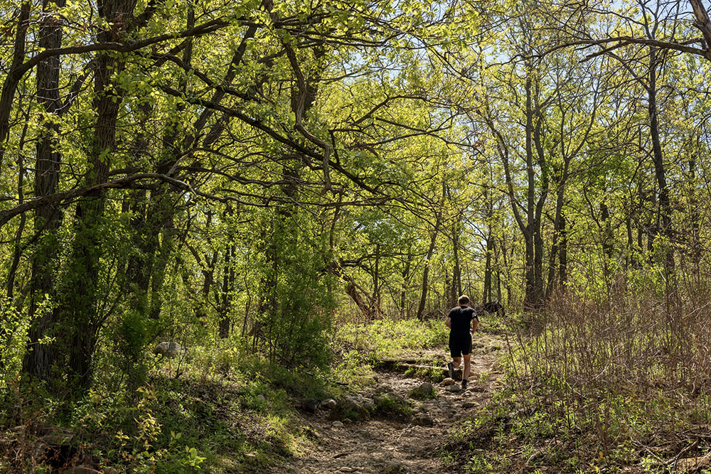 The Ice Age Trail was busy. Our group was passed often by other hikers and trail runners like this one going up one of the steeper sections.