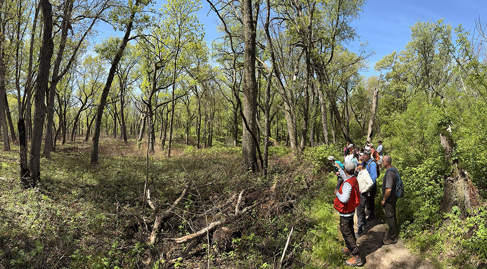 The group stops to observe the quality of the forest and the effects of controlled burning.