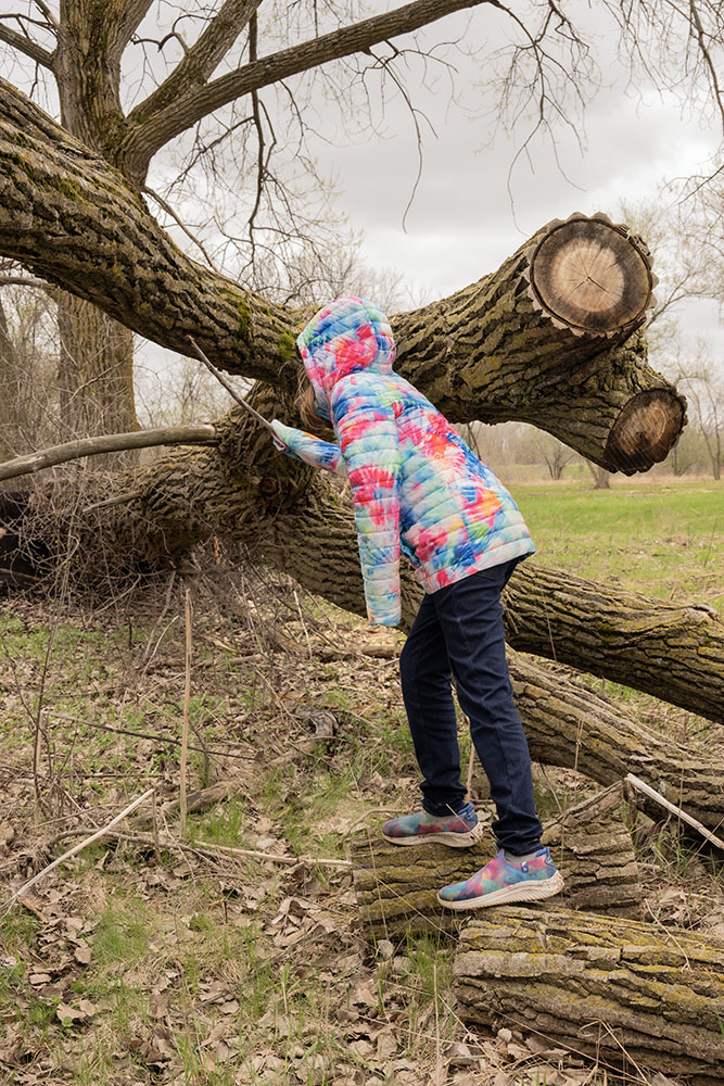 A young participant discovers moss and lichen growing on the bark of a fallen tree.
