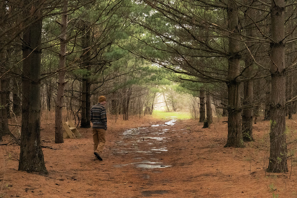The tour took the group through this pine plantation near the site of the former Nike missile base.
