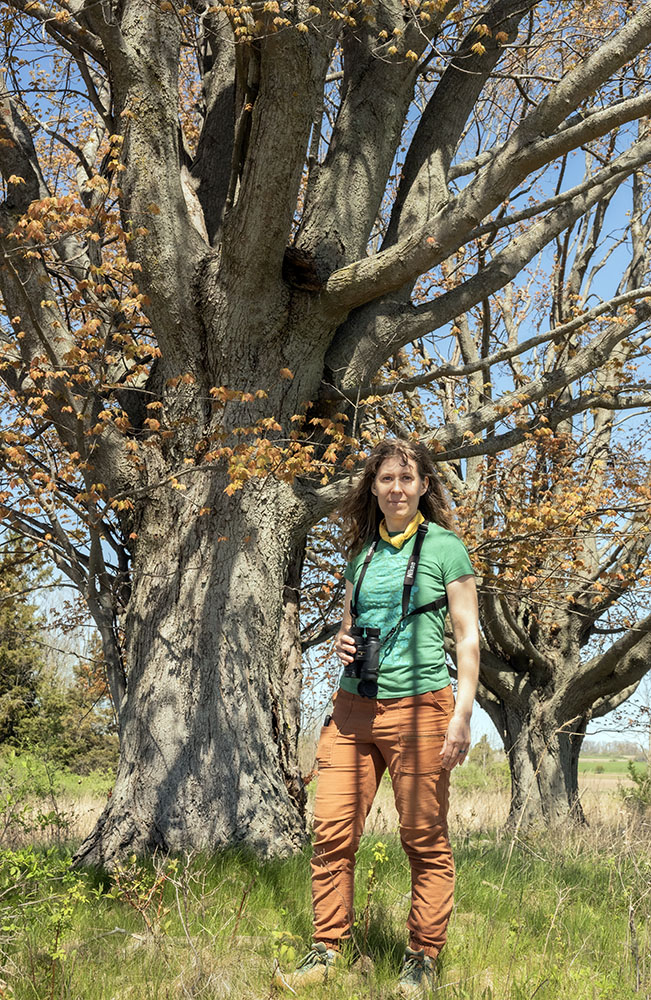 Rebecca among the giants.