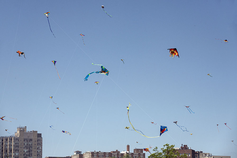 A sky full of kites!