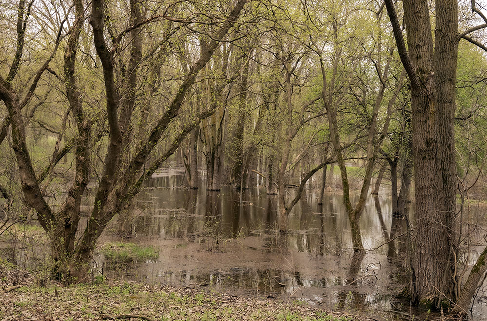 Spring flooding created an ephemeral wetland along the route of the tour.