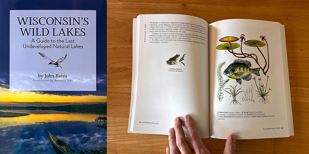  Wisconsin's Wild Lakes, written by Wisconsin Naturalist John Bates and illustrated by Rebecca Jabs; Manitowish River Press, November 2021