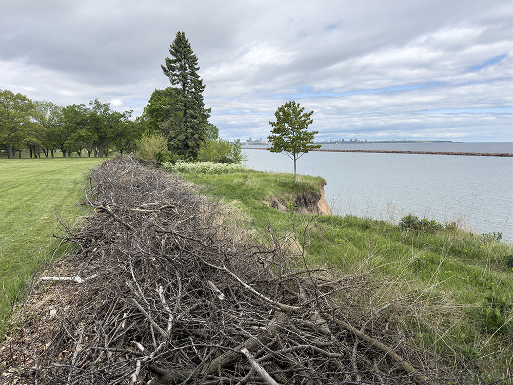 At Bay View Park a brush barricade is being used to discourage visitors from getting too close to the cliff.