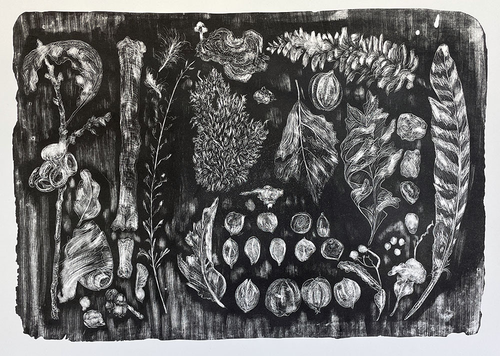 November Collection, 2025, Lithograph on paper