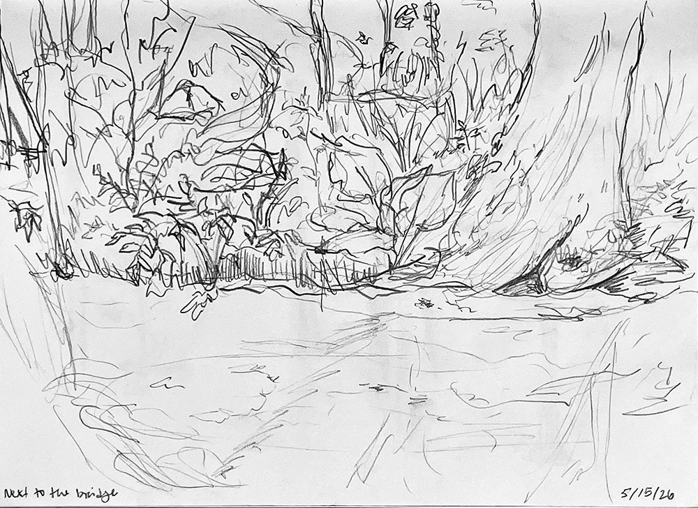 By the creek, (rough sketch, for a future print), 2026