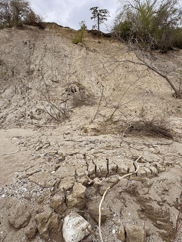 A view from the base of the bluff shows that the collapse was essentially a mud slide.