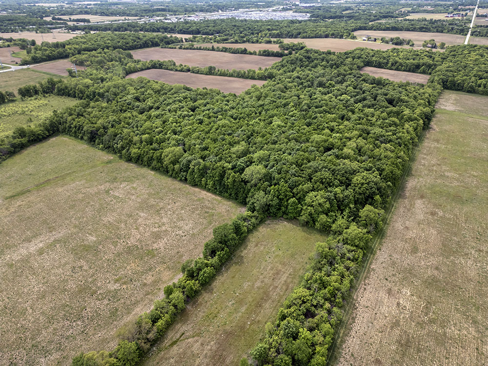 Aerial view showing a patchwork of forest and fields. The three fields in the foreground are currently being restored with native plantings. The two on the left will increase the woodland. The one on the right will be prairie.