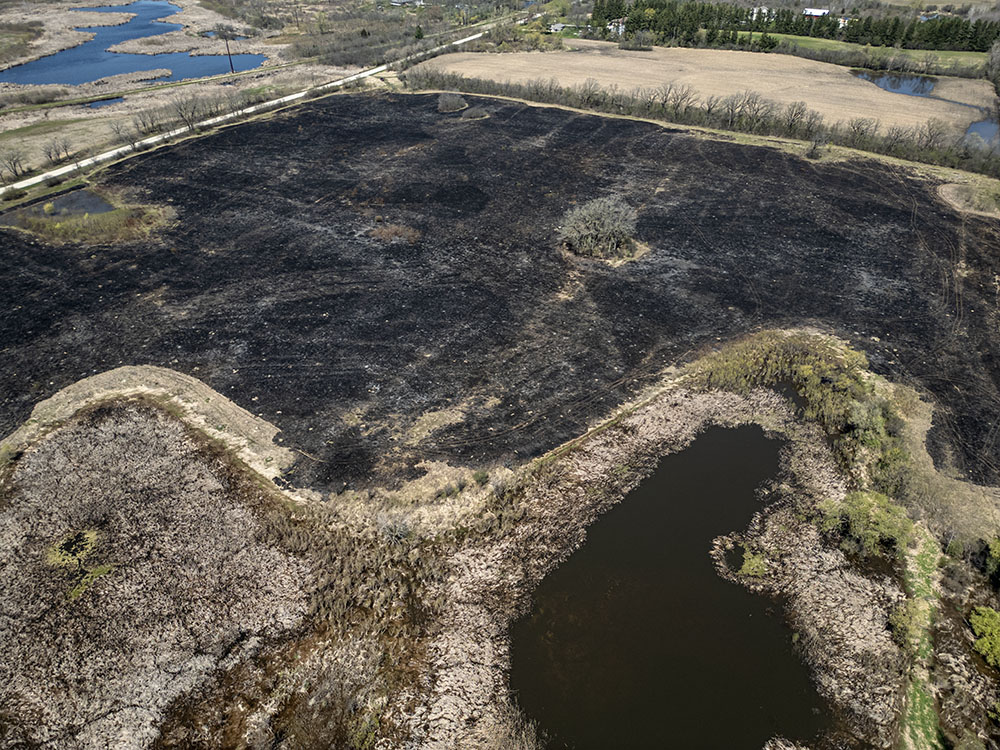 Aerial overview of Ryan Creek Prairie after the burn.