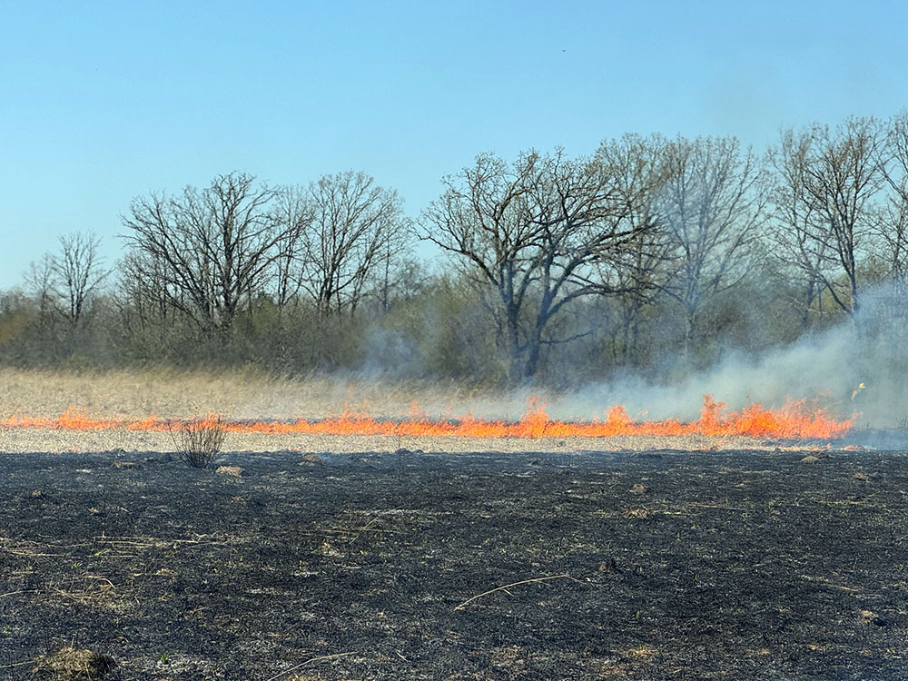 Ryan Creek Prairie burning. 