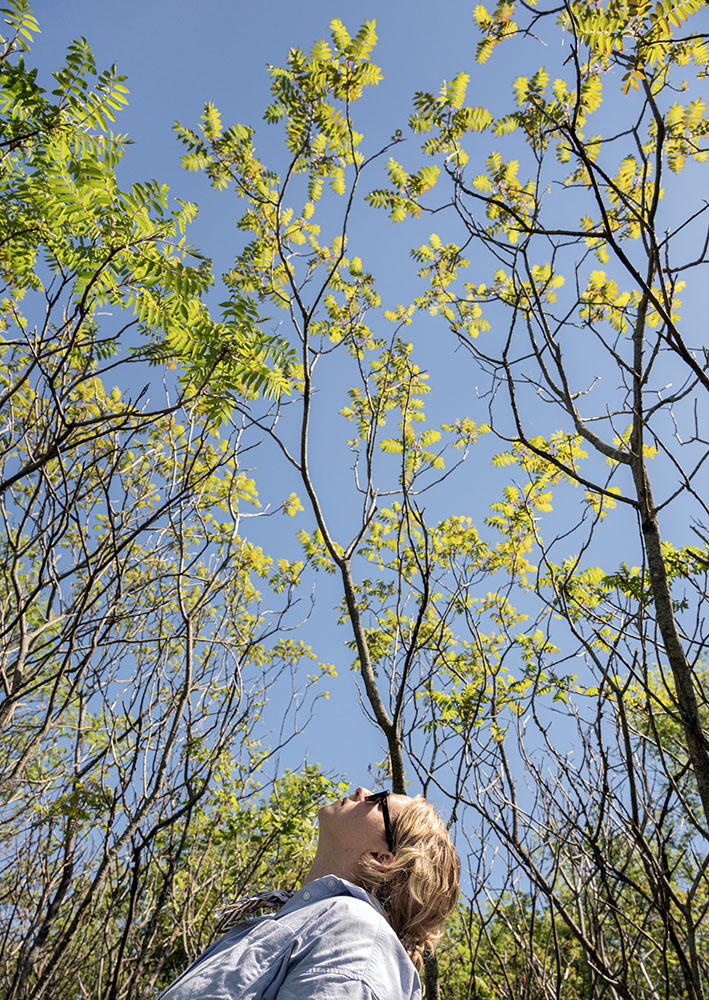 Wendi observing patterns created by sumac branches and foliage. 