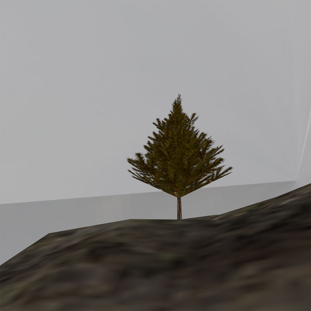 3D experiment. A low-poly 3D model of the lone tree at Biehl Nature Preserve. 2026.