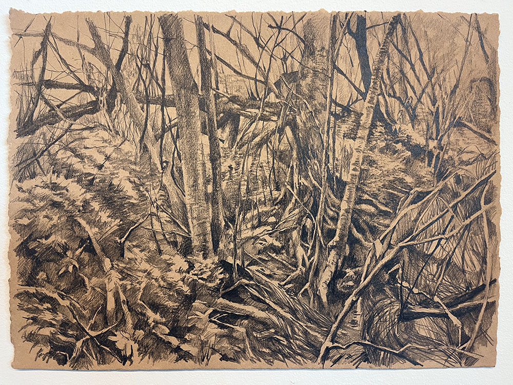 River Drawing, 11x14, graphite on paper, 2026