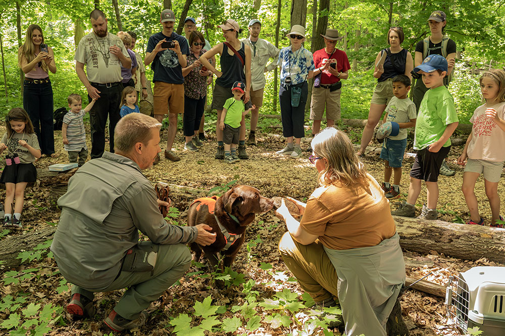 Cory Gritzmacher, left, with Tilia the conservation dog, and Brook Gilley, right, with Louise the wood turtle. Tilia gets a good whiff of Louise before the trial begins.