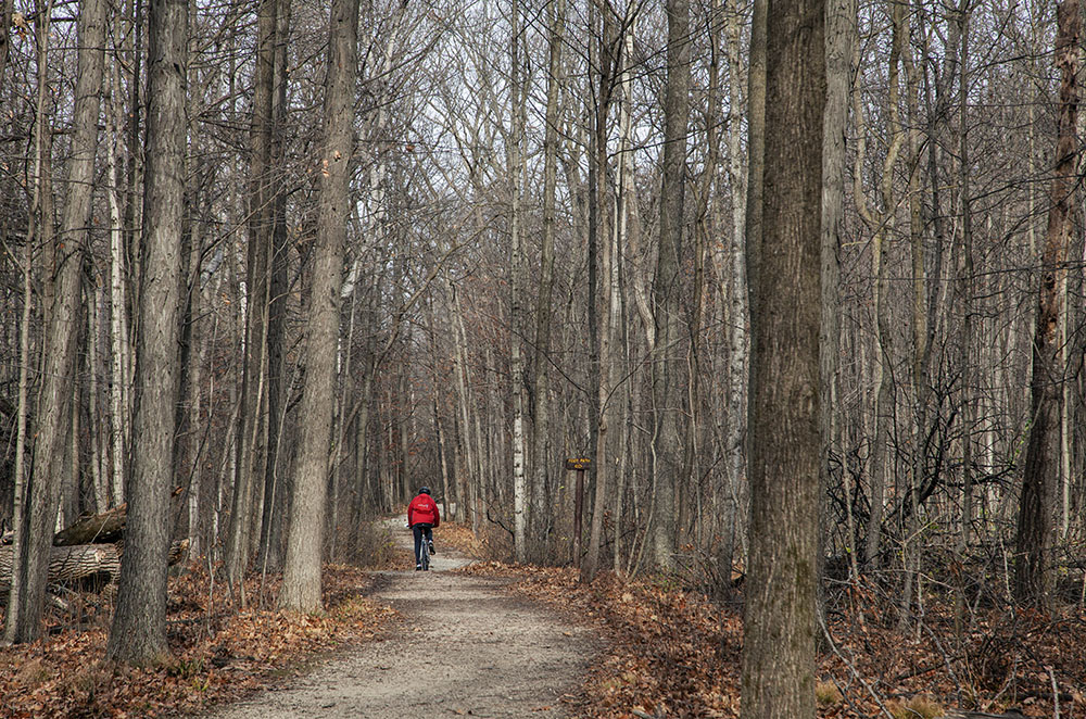 Approximately one mile long, the Paul Gihring Recreational Trail runs the length of 47-acre Deer Creek Sanctuary, a neighborhood park in New Berlin. I recommend parking at the dead end of Acredale Dr. on the south end.