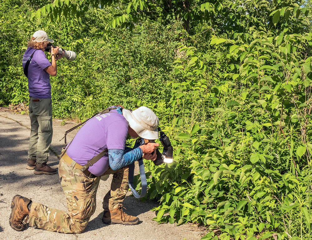 Master naturalists and photographers, Sue and Kevin Hanley exploring the edges of the parking lot.