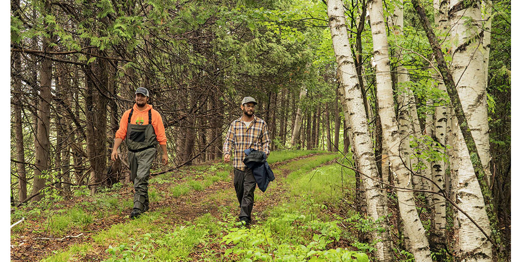 The esker trail at County Line Preserve