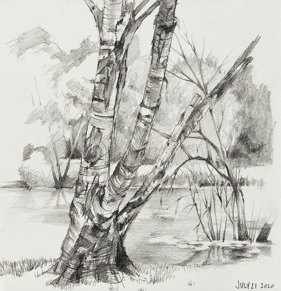 July 21 2020, 10x8, graphite, 2020