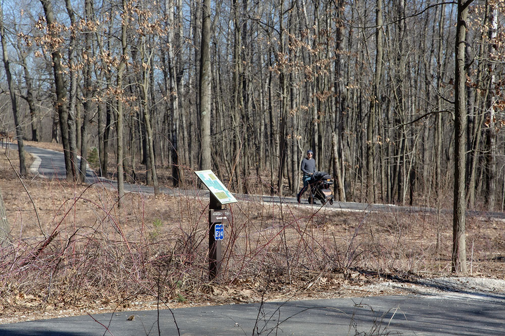 The paved Pine Grove Path makes a loop through the forest at Lapham Peak.