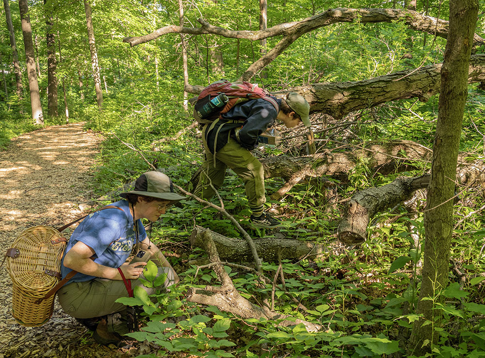 Mariah Rogers and Ro Kackley looking for mosses and fungi.