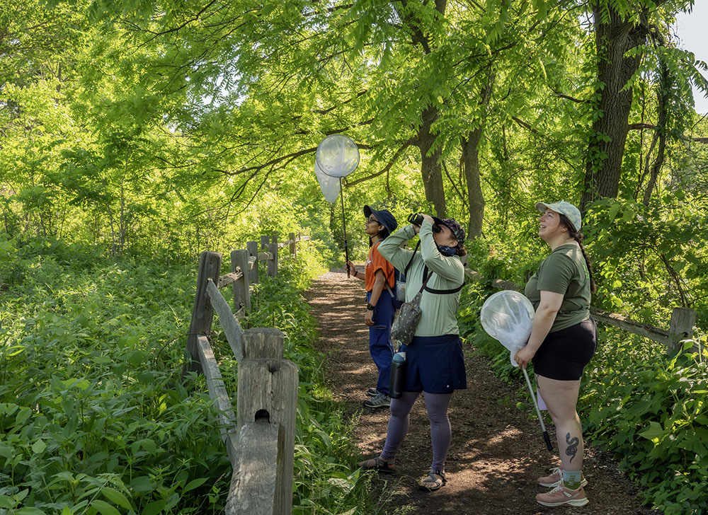 Trio from the Honeybee Research Lab looking for pollinators.