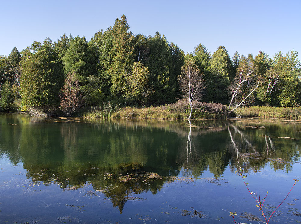 The pond and reflection.