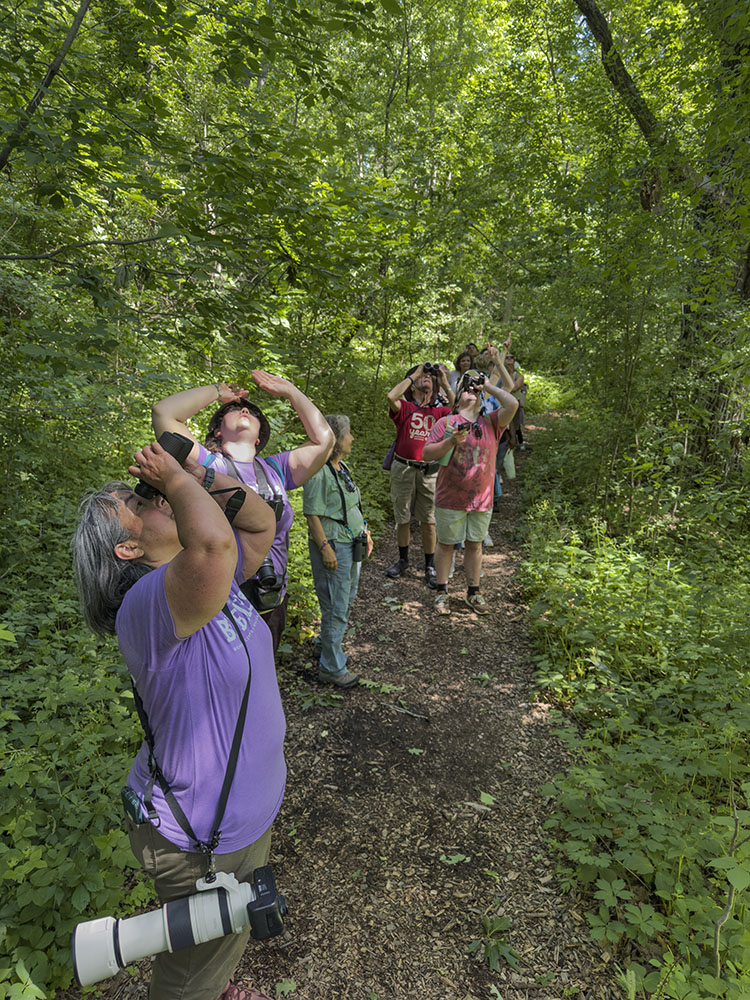 BIPOC birder Rita Flores Witkowski (foreground) leads a guided birding tour.