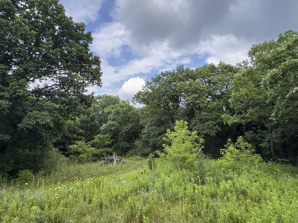 An old homestead, demolished ca. 2016, was once situated in this forest opening at the end of the asphalt driveway.
