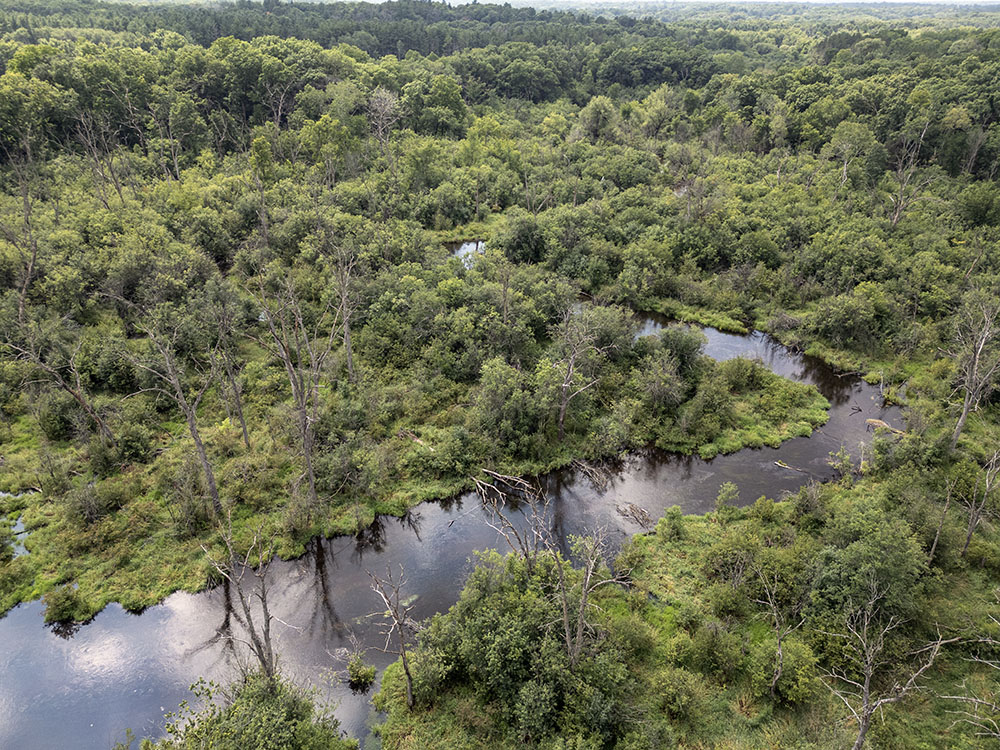 The Mukwonago River rising out of the wilderness.