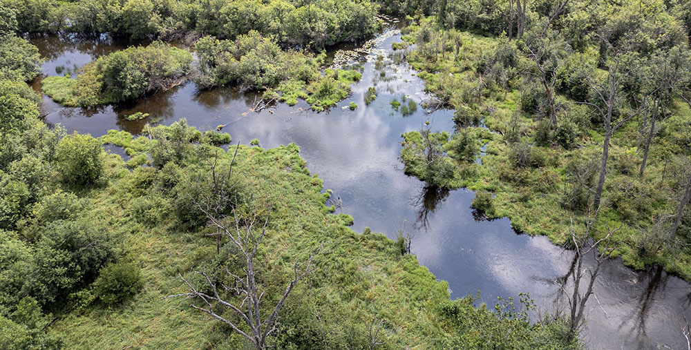 The Mukwonago River in an undeveloped section of the watershed