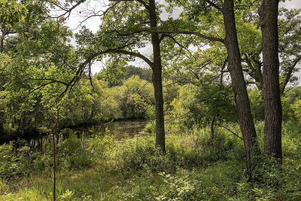 The trail ends at the Mukwonago River, one of the cleanest and most biodiverse in Wisconsin.