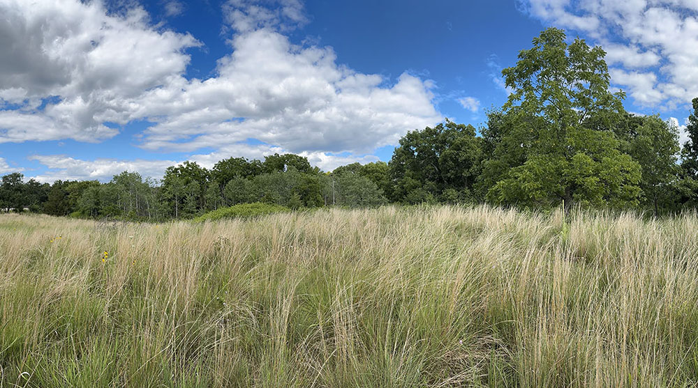 Chapman-Trupke Preserve, a Waukesha County Land Conservancy preserve adjacent to Old World Wisconsin. A well-maintained trail loops around the property, but the entrance to the parking area can be a challenge to find!