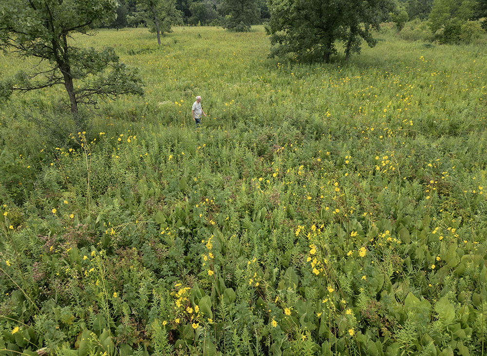 The artist walking through the prairie at Wehr Nature Center.