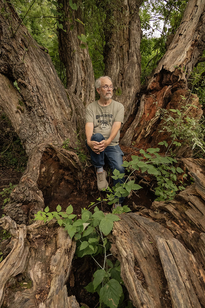 A natural throne!