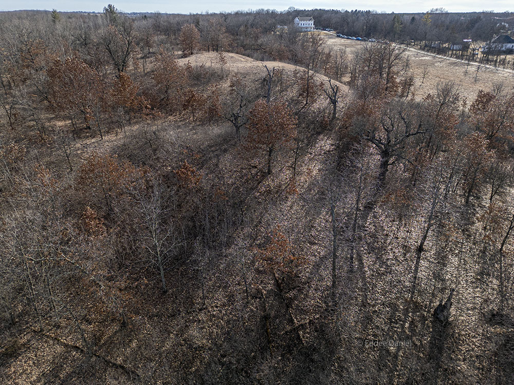 Eagle Center Prairie Preserve. Designated a State Natural Area by the DNR, owned and maintained by Waukesha County Land Conservancy. Features remnant oak savanna and prairie on undulating glacial terrain. Go to link for directions if you wish to visit.