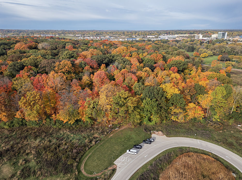 The Forest Exploration Center is a 67-acre portion of the much larger Milwaukee County Grounds in Wauwatosa. It features a mile-long crushed granite accessible trail loop through the forest. For the more adventurous, add two more miles of packed gravel trail around the adjacent detention basins.