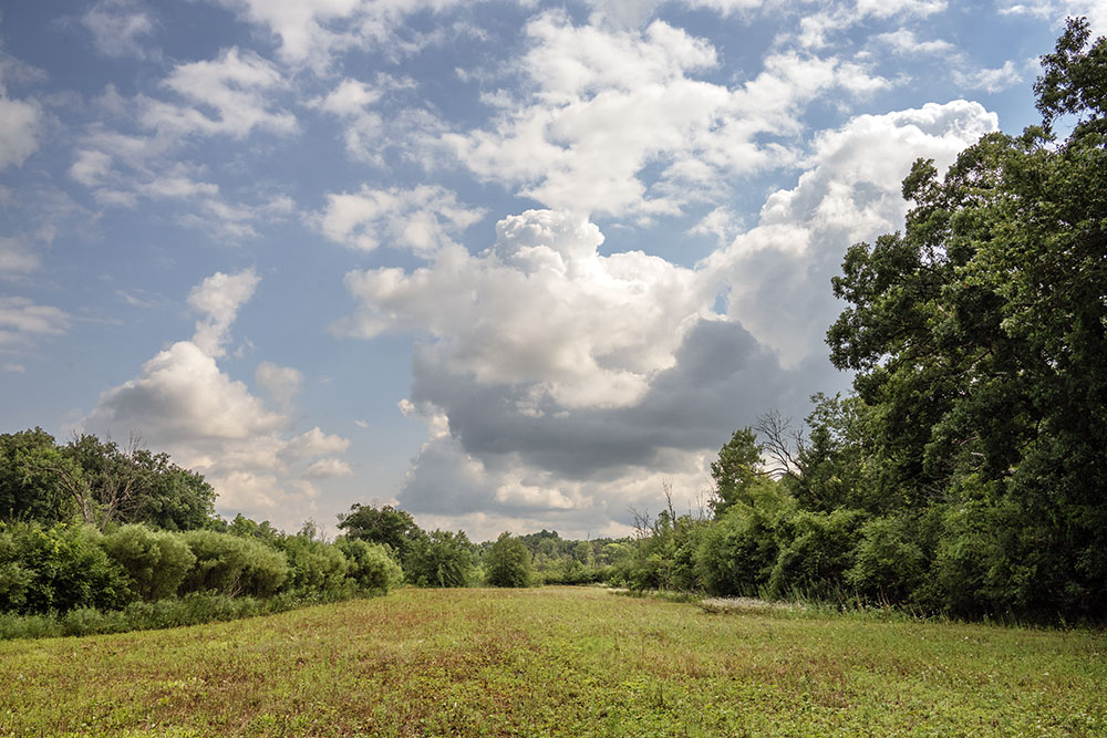 A former fairway being restored to prairie in the Mukwonago River Unit of the Kettle Moraine State Forest, which was acquired from the bankrupt Rainbow Springs Golf Club in 2008.