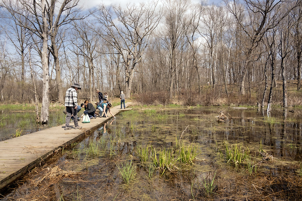 The Vernal Pond boardwalk was the perfect place to spot aquatic creatures.