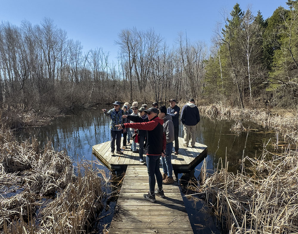 The group on the floating pier at Bentley Pond.