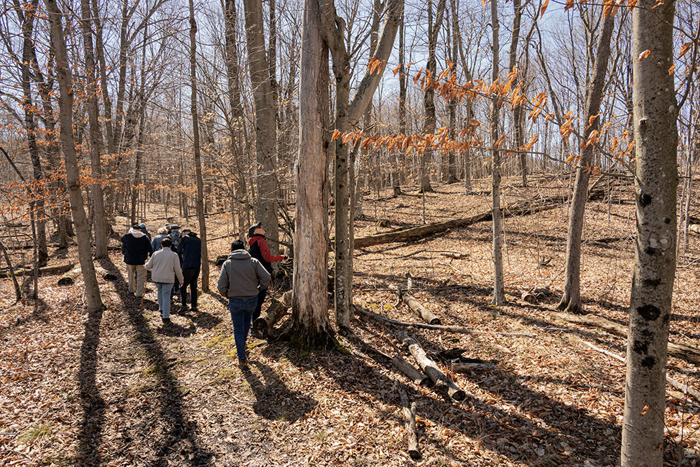 The forest was still quite barren in April for these two tours.